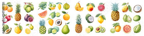 Wallpaper Mural Tropical Fruits Watercolor: Assorted Exotic Fruits Set Torontodigital.ca