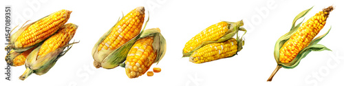 Watercolor Corn on the Cob: Fresh Harvest Illustration