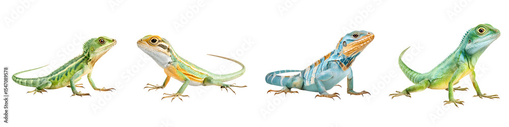 Fototapeta premium Colorful Lizard Lineup: Four Different Reptiles on White
