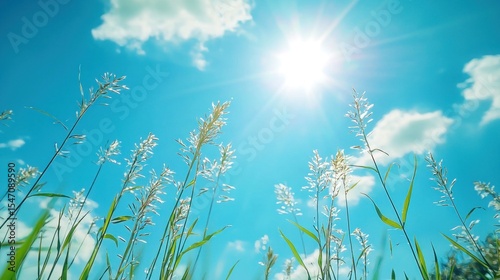 A clear blue sky with white clouds and a bright sun shining through.