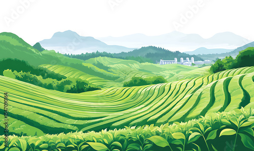 Refreshing Green Tea Leaves and Brewed Drink: Natural, Healthy, and Antioxidant-Rich Beverage