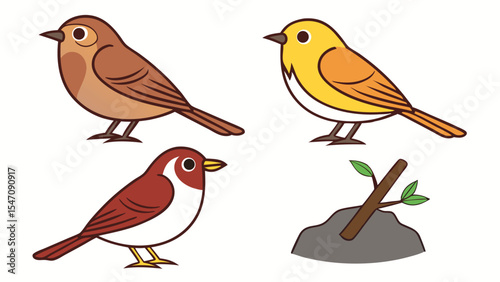 A collection of four cartoon birds depicting different species with cute colorful illustrations