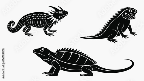 A set of three vector silhouettes depicting different lizard species in simple minimalist black and white style