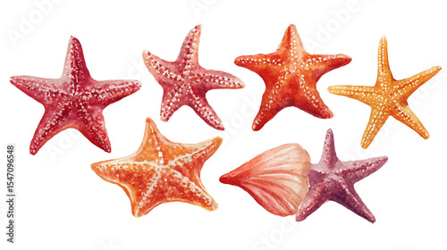 Watercolor Starfish Collection: Red Orange Purple Hues on Transparent Background, PNG
