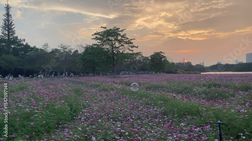 guangzhou skyline at sunset