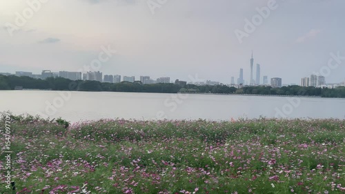 guangzhou skyline at sunset
