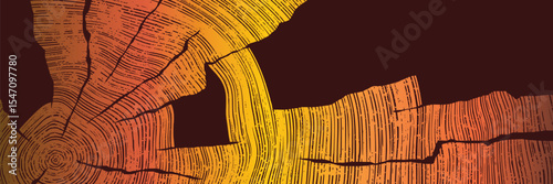 Wood texture frame, wood plank, dark background, vector design