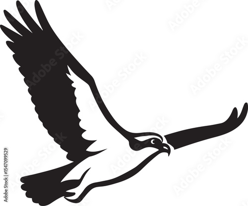 Black and white silhouette of a soaring osprey, Osprey flying bird of prey image