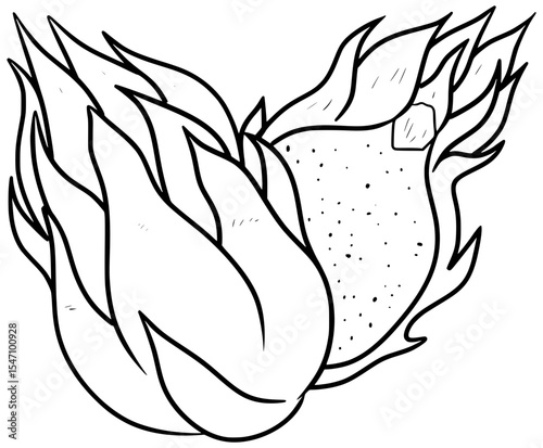 Dragon Fruit Vector Outline Line Art Drawing