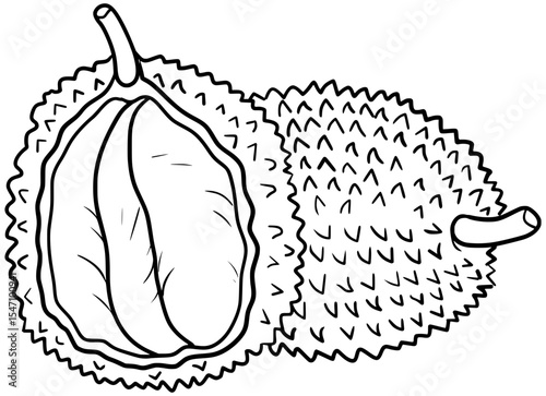 Durian Fruit Vector Outline Line Art Drawing