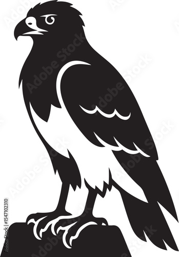 Bold black and white silhouette of a hawk perched on a rock, Watchful raptor illustration