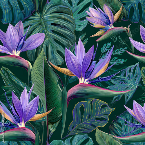 Seamless Tropical Pattern with Bird of Paradise Flowers and Monstera Leaves