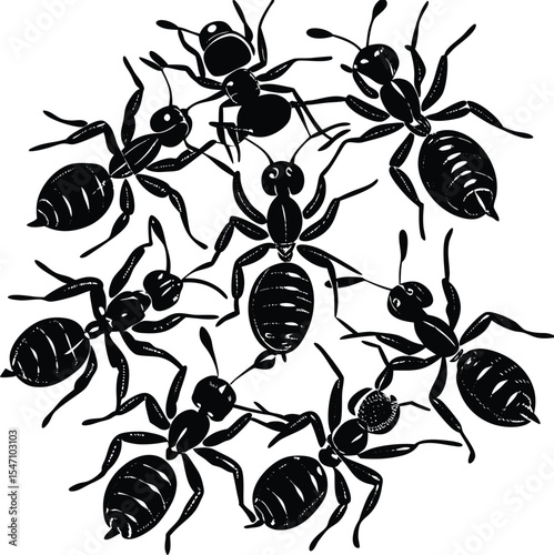 set of black ants on a white background