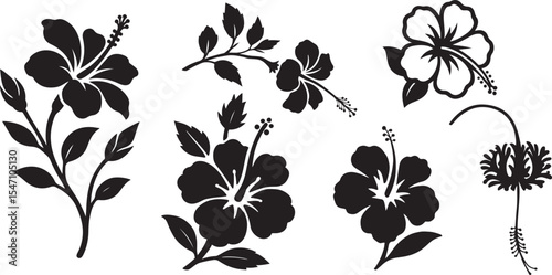 Elegant black and white hibiscus flower silhouettes, Tropical floral vector artwork