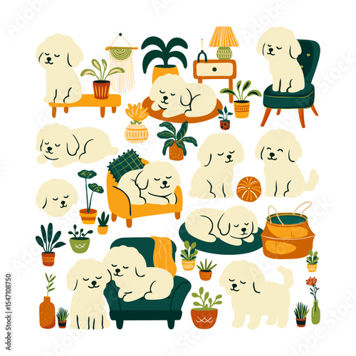 Cozy Dog in a Plant-Filled Home 4