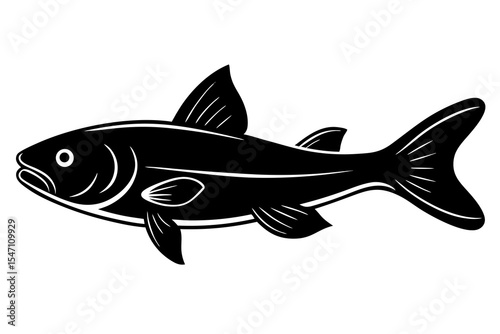 fish isolated on white background