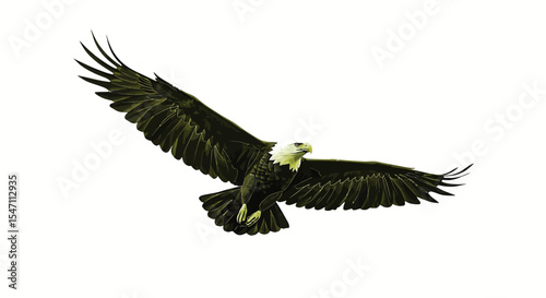 A high-resolution vector logo of an eagle in minimalist style, featuring either a sharp side profile or outstretched wings in flight.