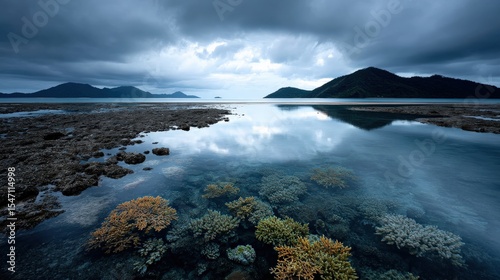 Coral Reef in Shallow Water with Mountain Backdrop and Cloudy Sky Reflection
