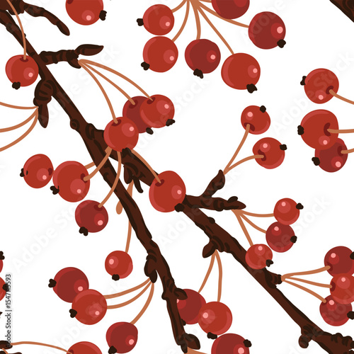 vector drawing seamless pattern with winter apple tree branch with red fruits at white background, hand drawn illustration