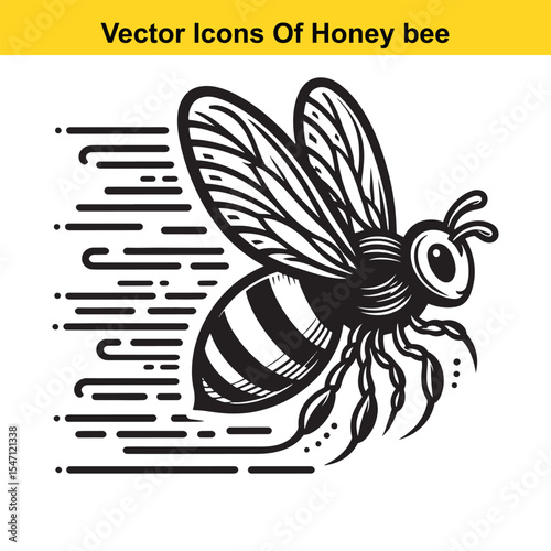 Realistic Black and White Line Art of a Honey Bee for Tracing
