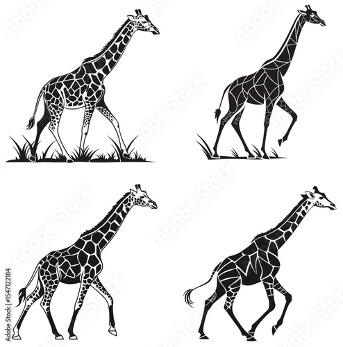 Color giraffe animal icon set 