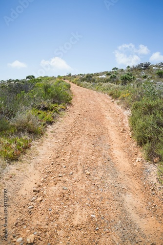 Winding dirt path is curving up scrubby hillside with gravel in flat design vector illustration