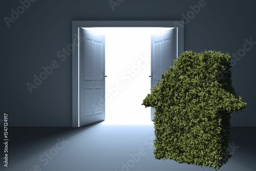 Topiary by doorway in house