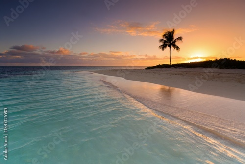 A single tall palm tree stands on the beach, its dark silhouette stark against an orange and pink sunset sky