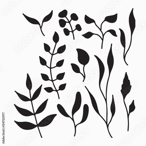 Designer elements set collection of jungle ferns tropical eucalyptus art natural leaf herbal leaves
