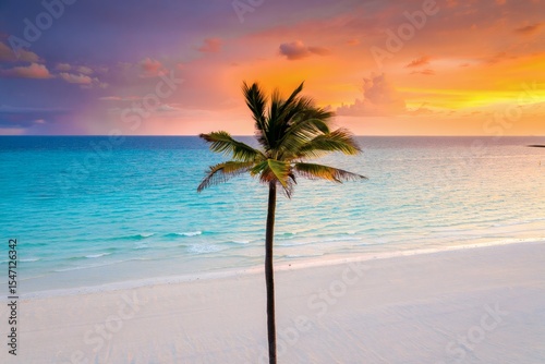 palm trees on the beach