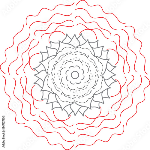 red rose flower