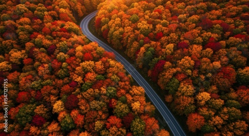 Aerial view of a winding road through a forest with peak autumn colors