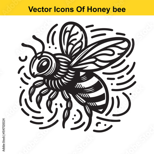 Realistic Black and White Line Art of a Honey Bee for Tracing