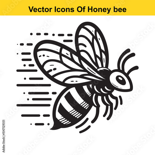 Realistic Black and White Line Art of a Honey Bee for Tracing