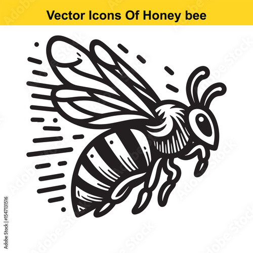 Realistic Black and White Line Art of a Honey Bee for Tracing