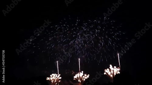 Spectacular Fireworks Display: Vibrant Bursts of Color Against the Night Sky