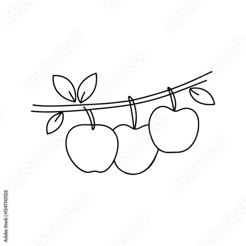 Apples Hanging Naturally from a Tree Branch
