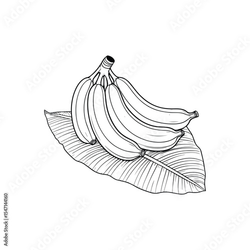 Bunch of Bananas Placed on Banana Leaves