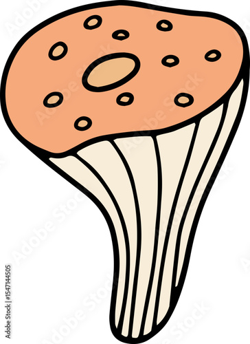 mushroom food fungi food	