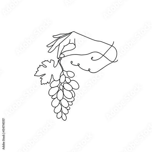 A Hand Holding a Fresh Grape Fruit