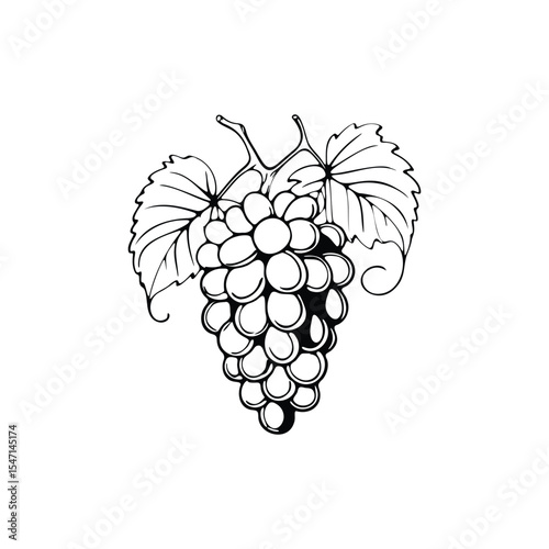 A Bunch of Grapes Hanging on the Vine