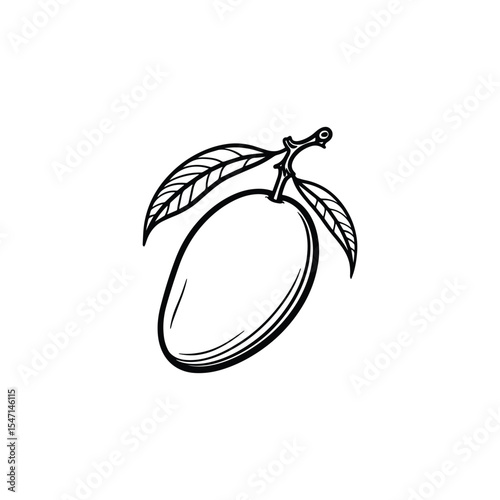 A Whole Mango Fruit for Display