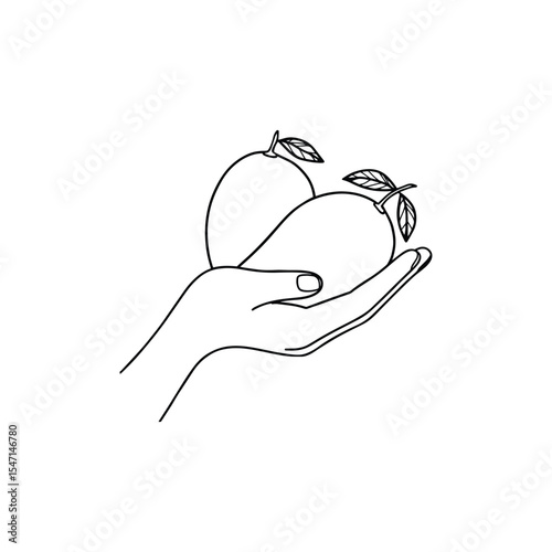 A Hand Holding a Whole Mango Fruit