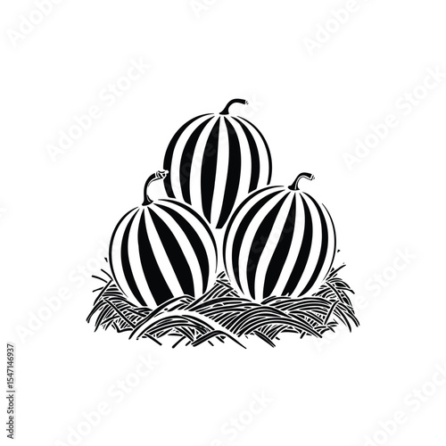A Whole Watermelon Fruit Ready to Eat