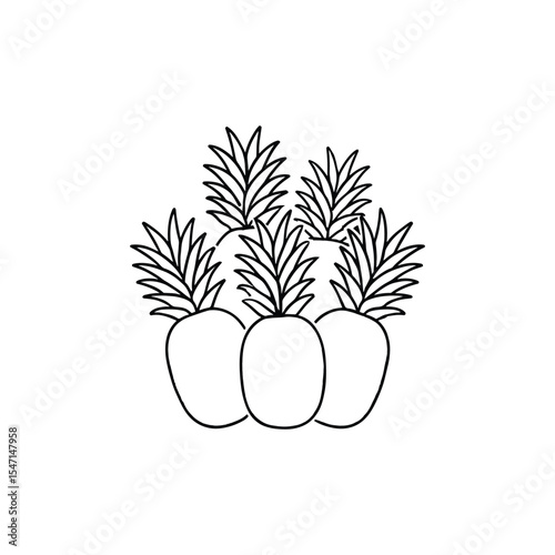 A Bunch of Pineapples Grouped Together Neatly