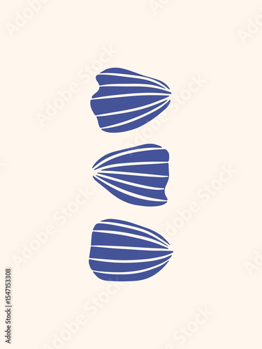 Hand drawn seashells poster