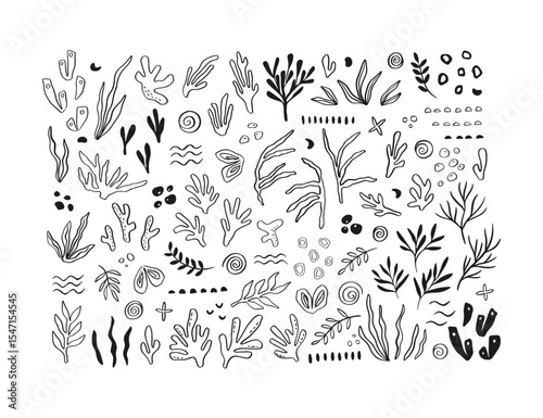Whimsical corals and seaweed clipart
