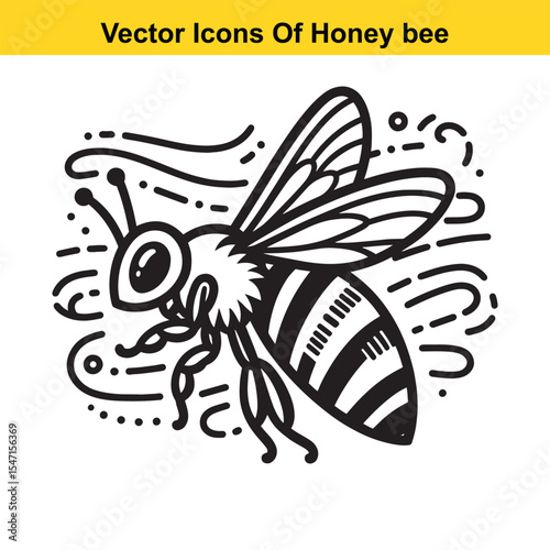 Realistic Black and White Line Art of a Honey Bee for Tracing