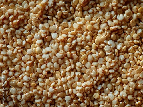 Close-up of light-tan seeds