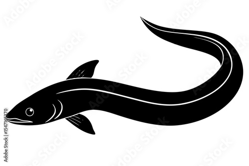 black and white fish